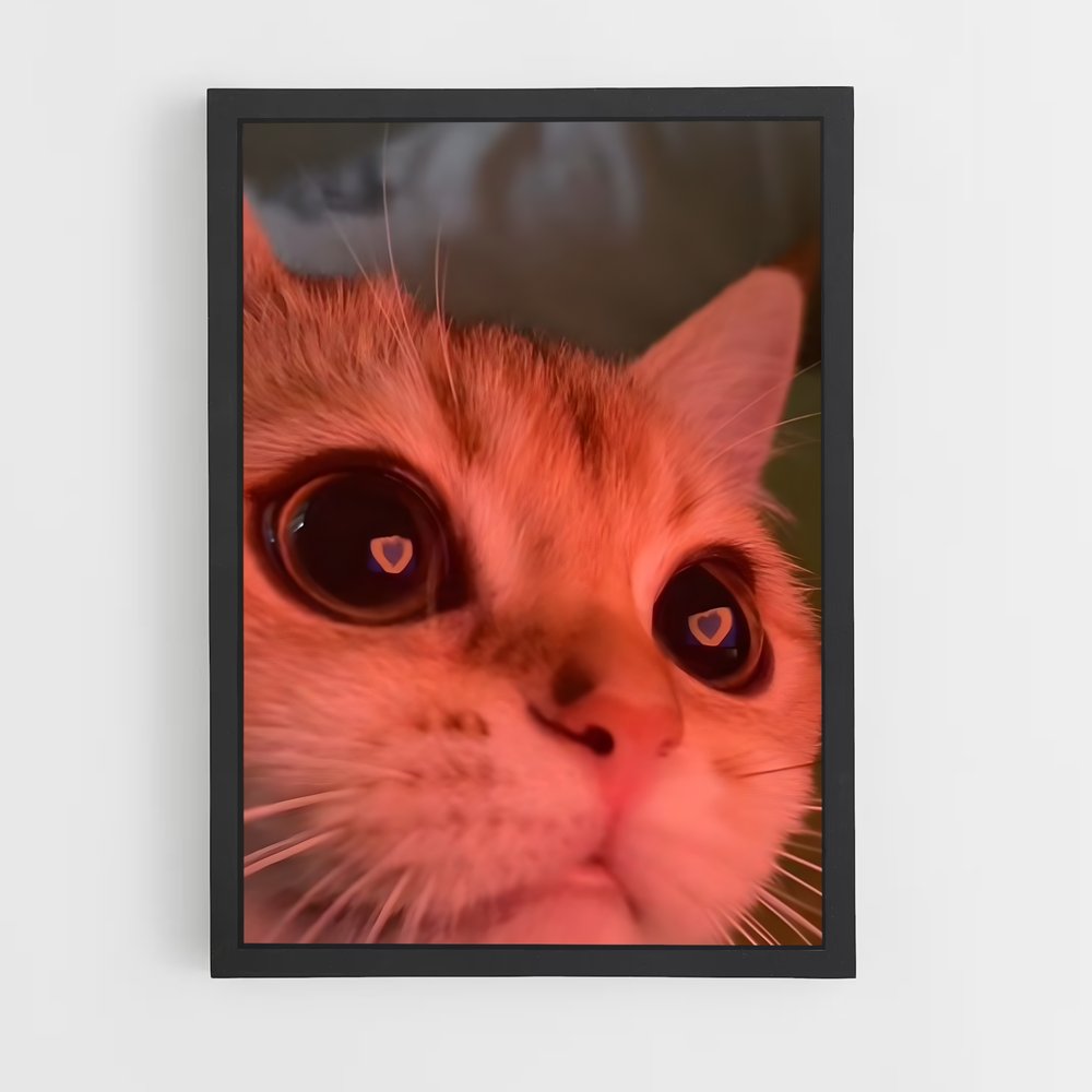 cat-6 cadre Noir