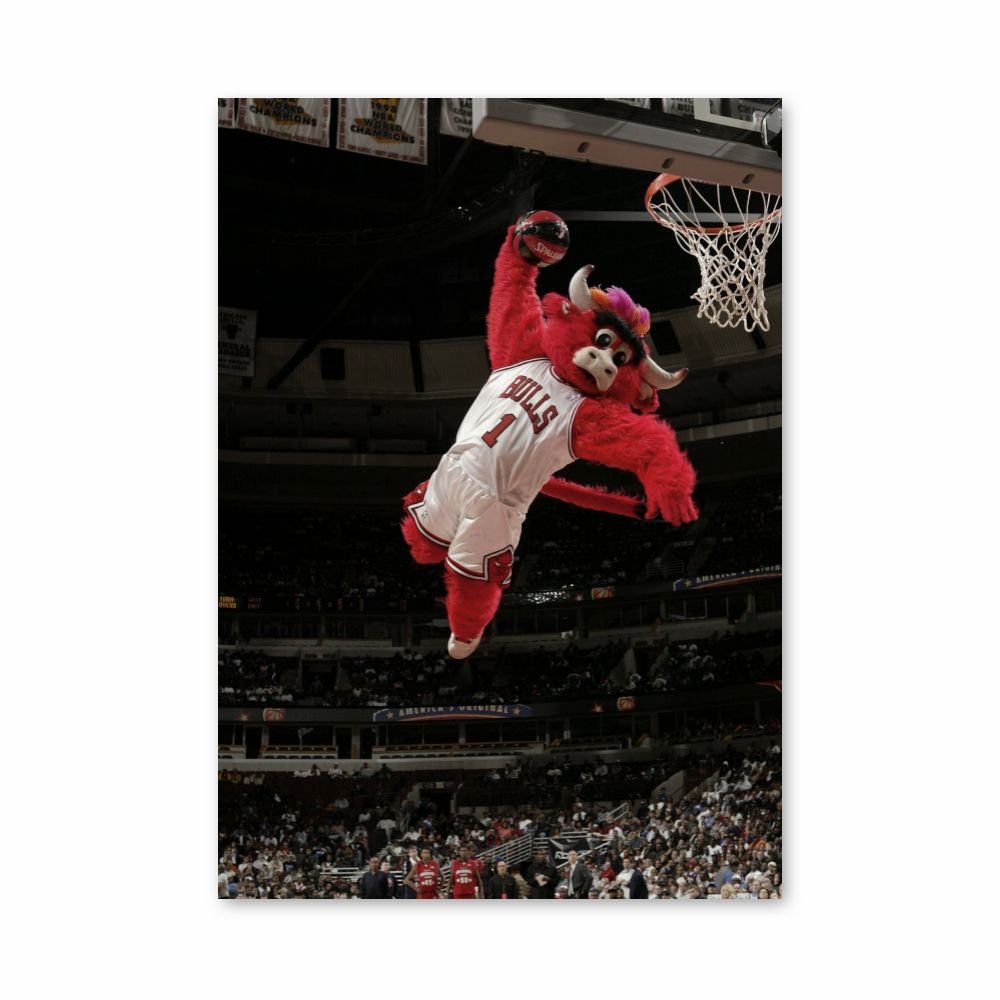 Poster della mascotte dei Chicago Bulls