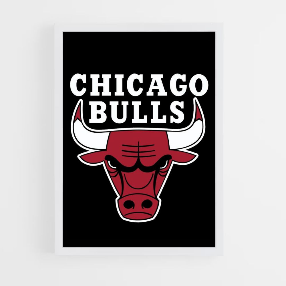 Poster con il logo dei Chicago Bulls