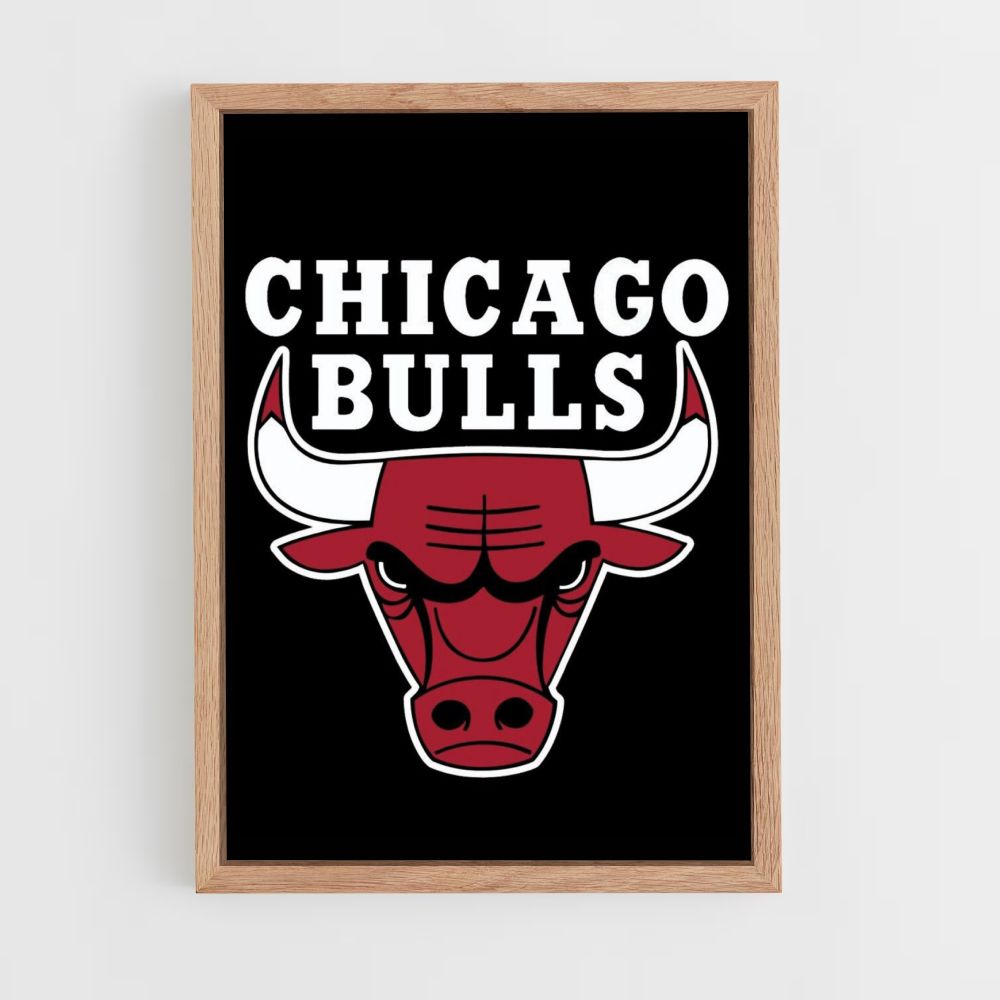 Poster con il logo dei Chicago Bulls