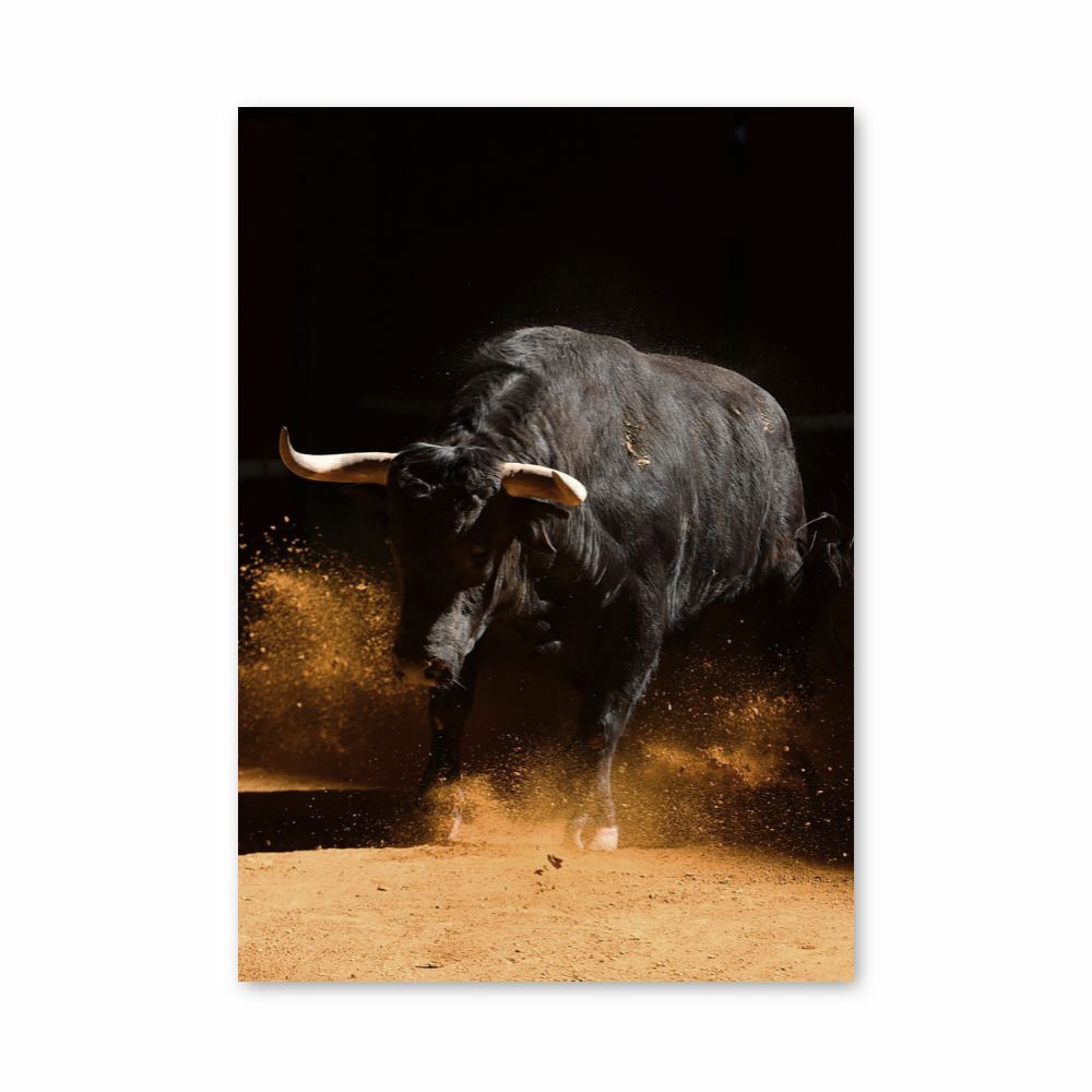 Poster Corrida del toro