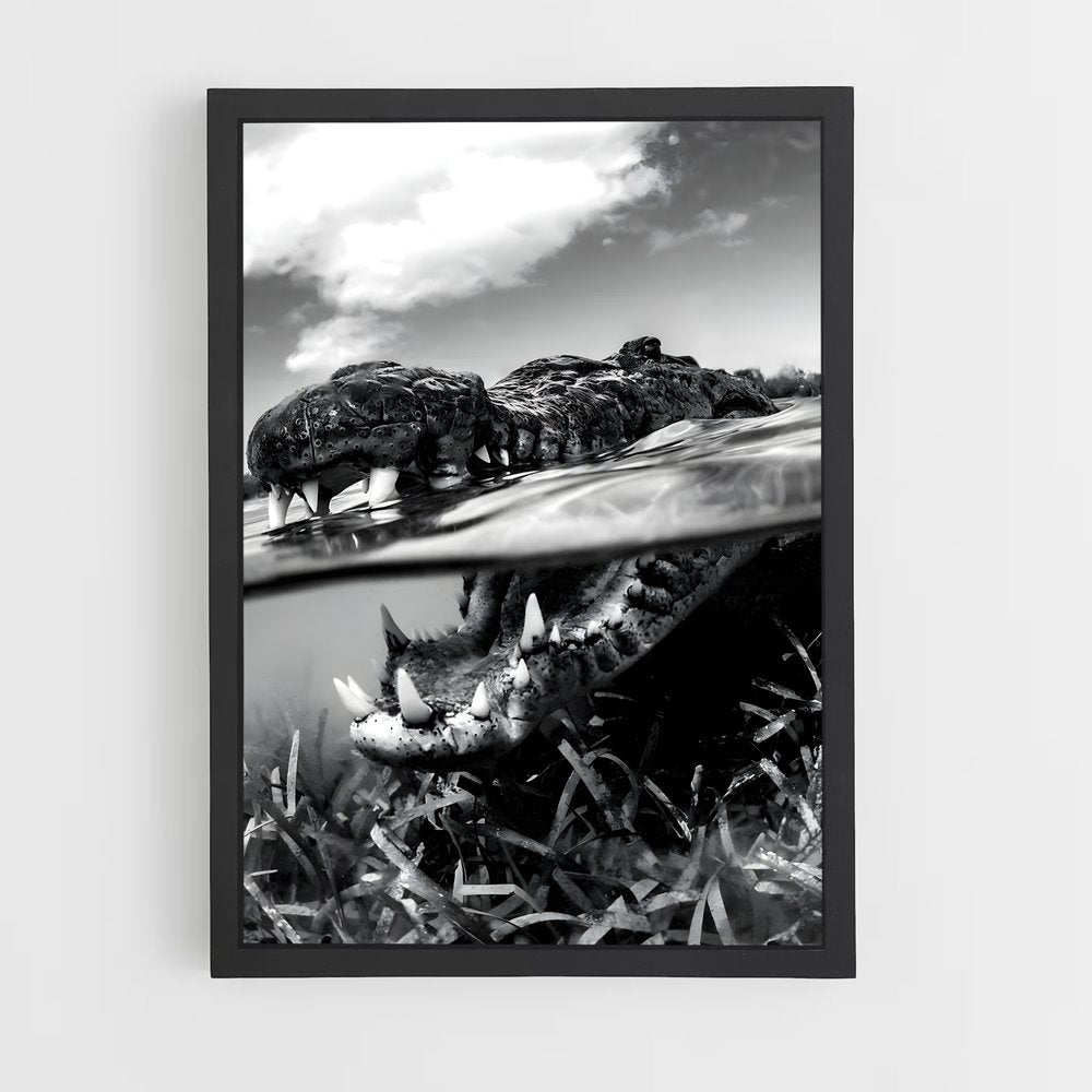 crocodile-3 cadre Noir