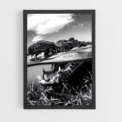 crocodile-3 cadre Noir