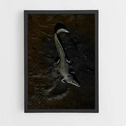 crocodile-5 cadre Noir
