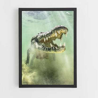 crocodile-9 cadre Noir