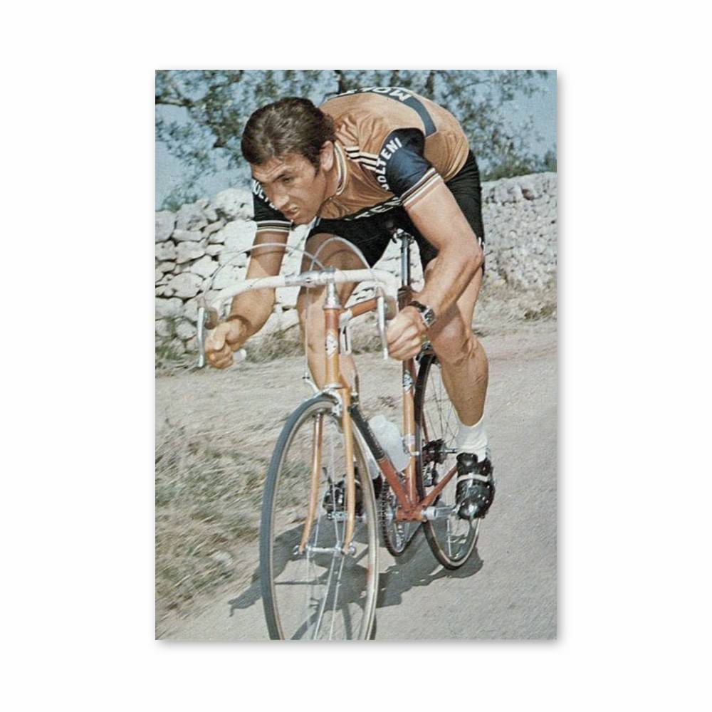 Poster Eddy Merckx