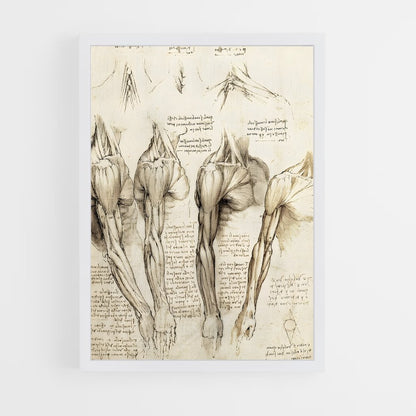 da-vinci-2 cadre Blanc