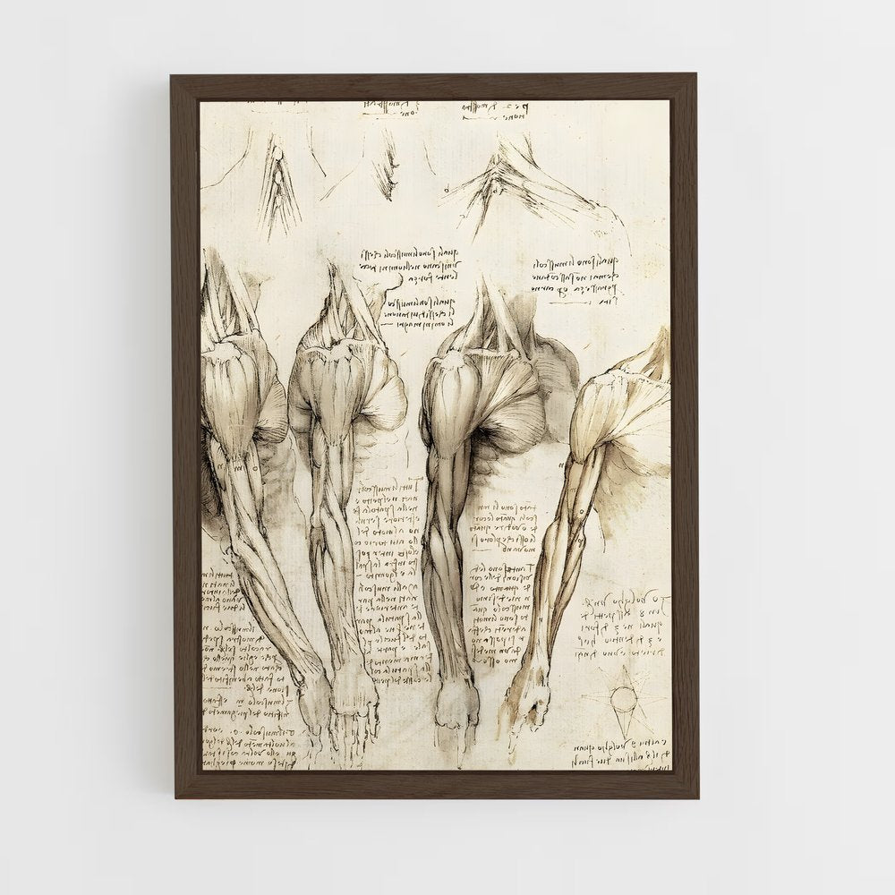 da-vinci-2 cadre Bois foncé