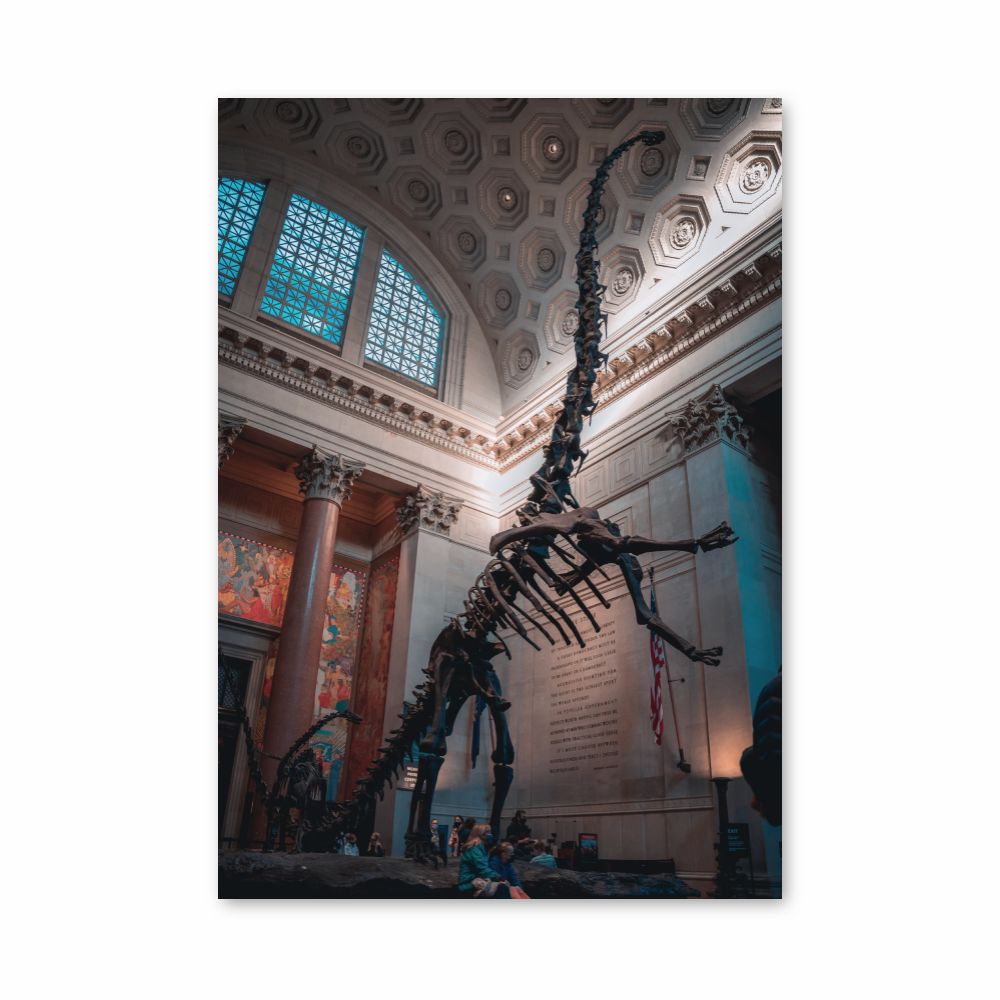 Poster dello scheletro di Diplodocus