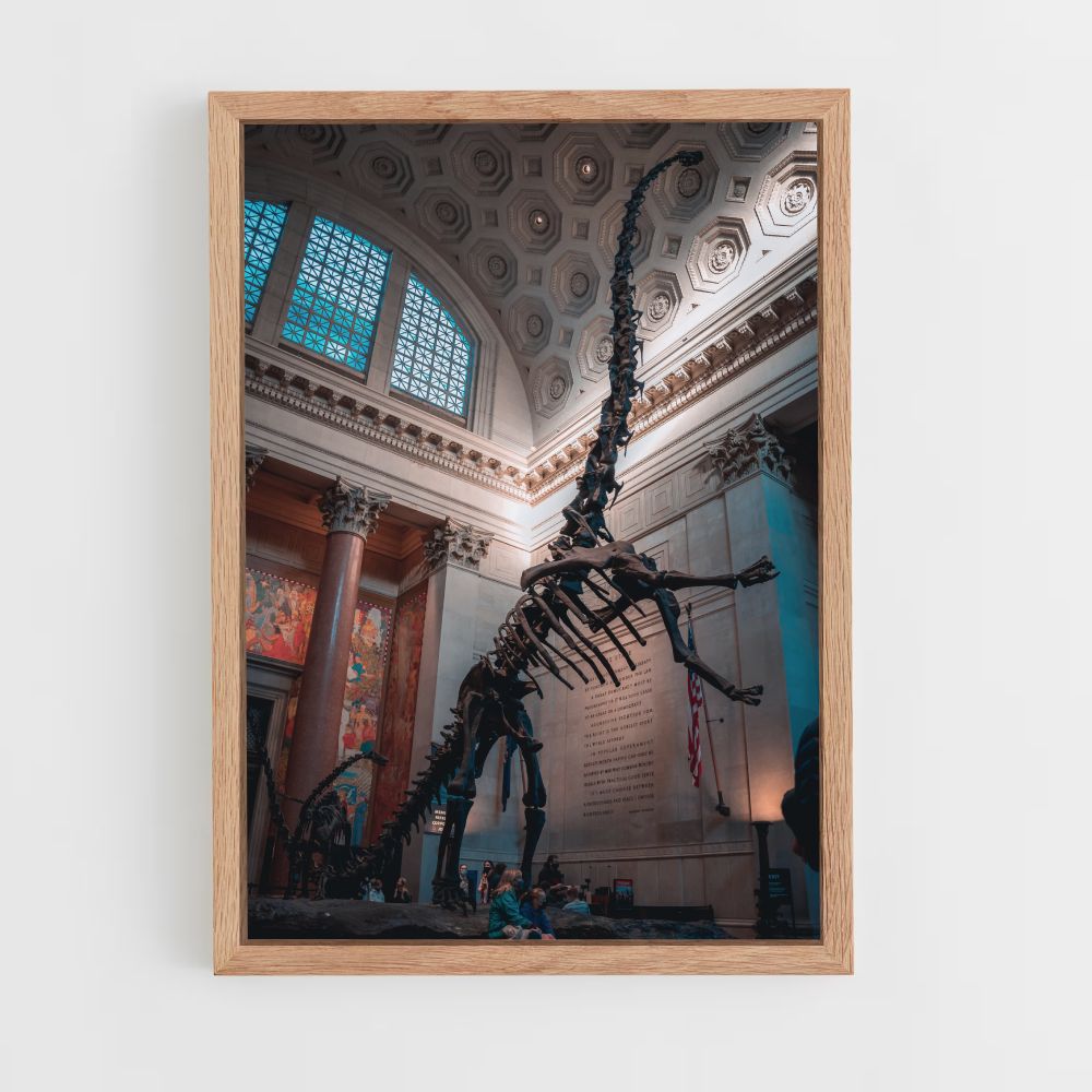 Poster dello scheletro di Diplodocus