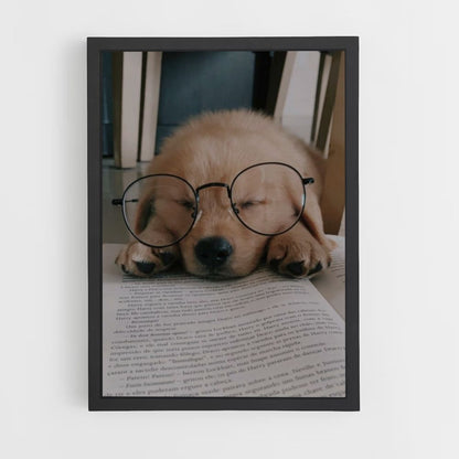 Poster di lettura del cane