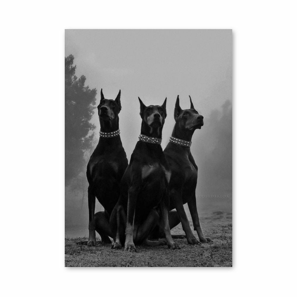 Manifesto del Doberman