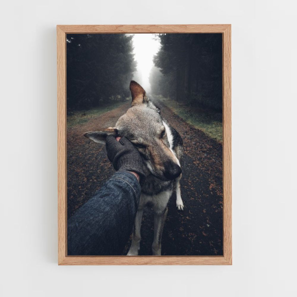 Poster del cane della foresta