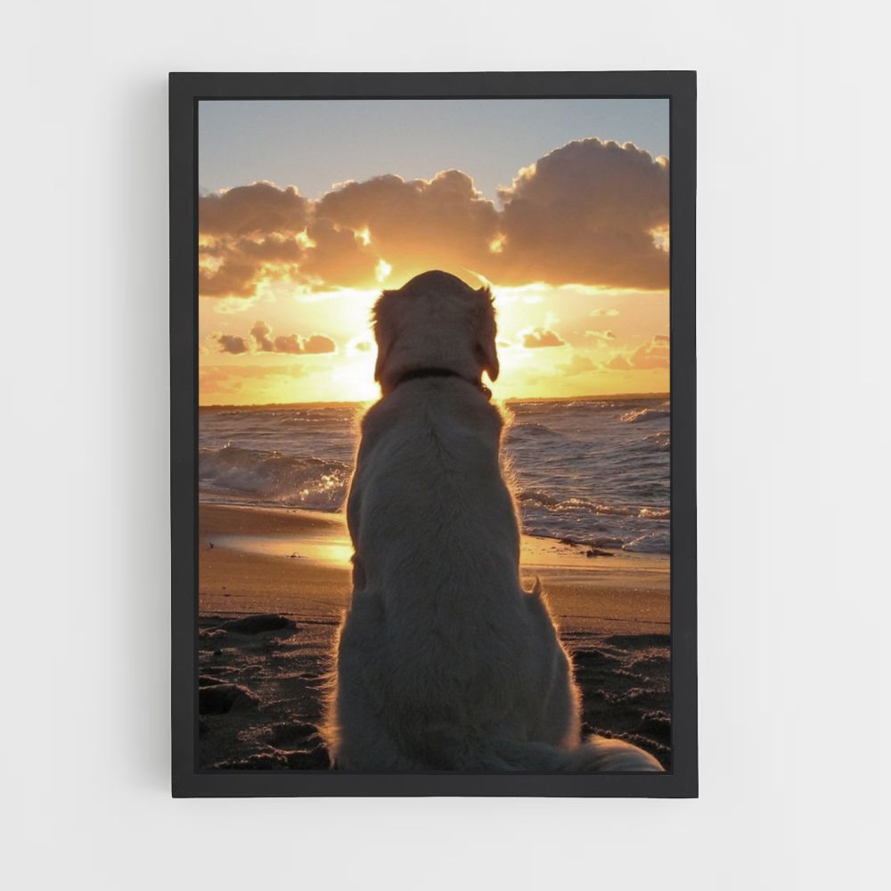 Poster sulla spiaggia per cani