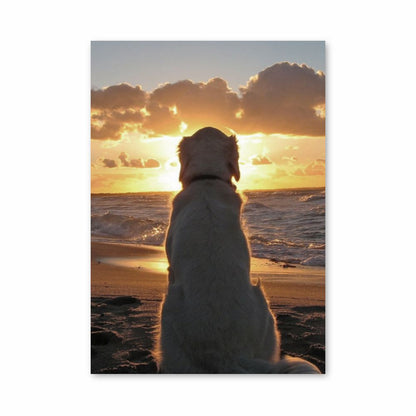 Poster sulla spiaggia per cani