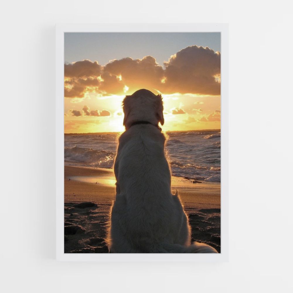 Poster sulla spiaggia per cani