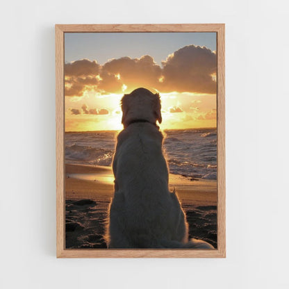 Poster sulla spiaggia per cani