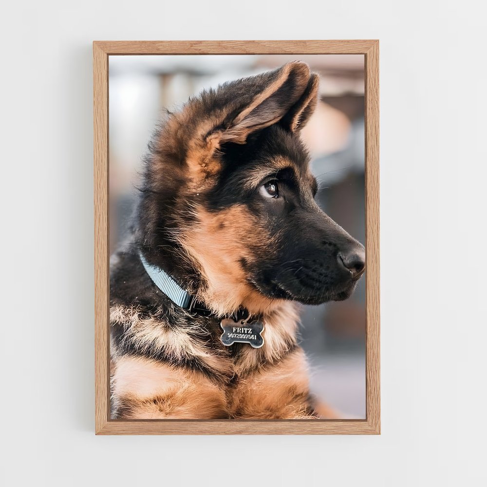 dog-6 cadre Bois clair