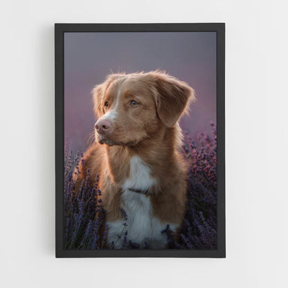 Poster di cane lavanda