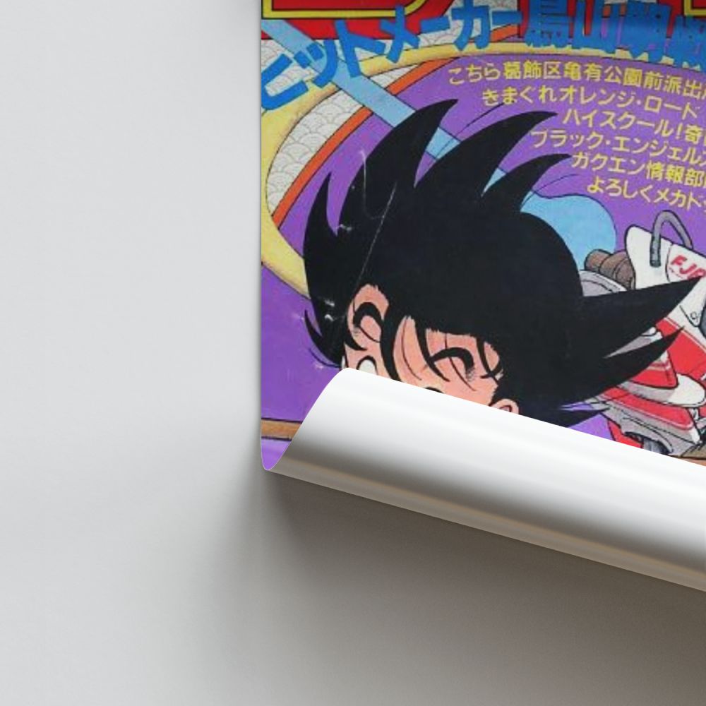 Poster Goku piccolo