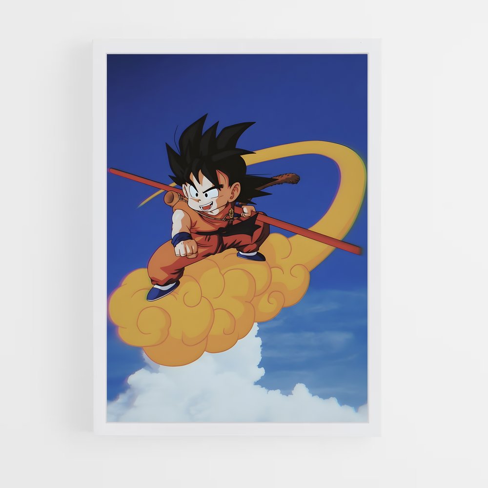 dragon-ball-13 cadre Blanc