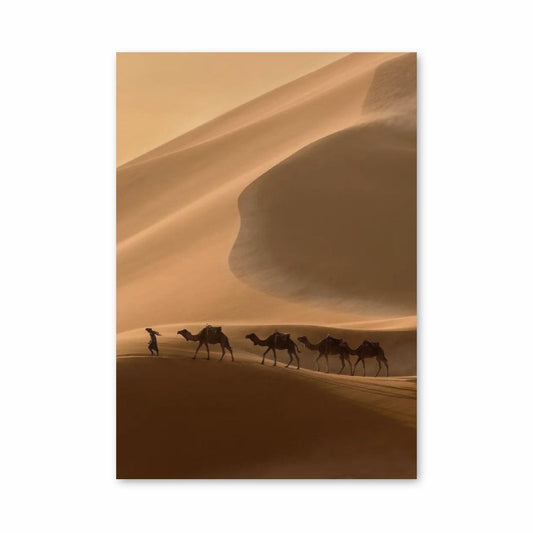 Poster Cammelli del deserto