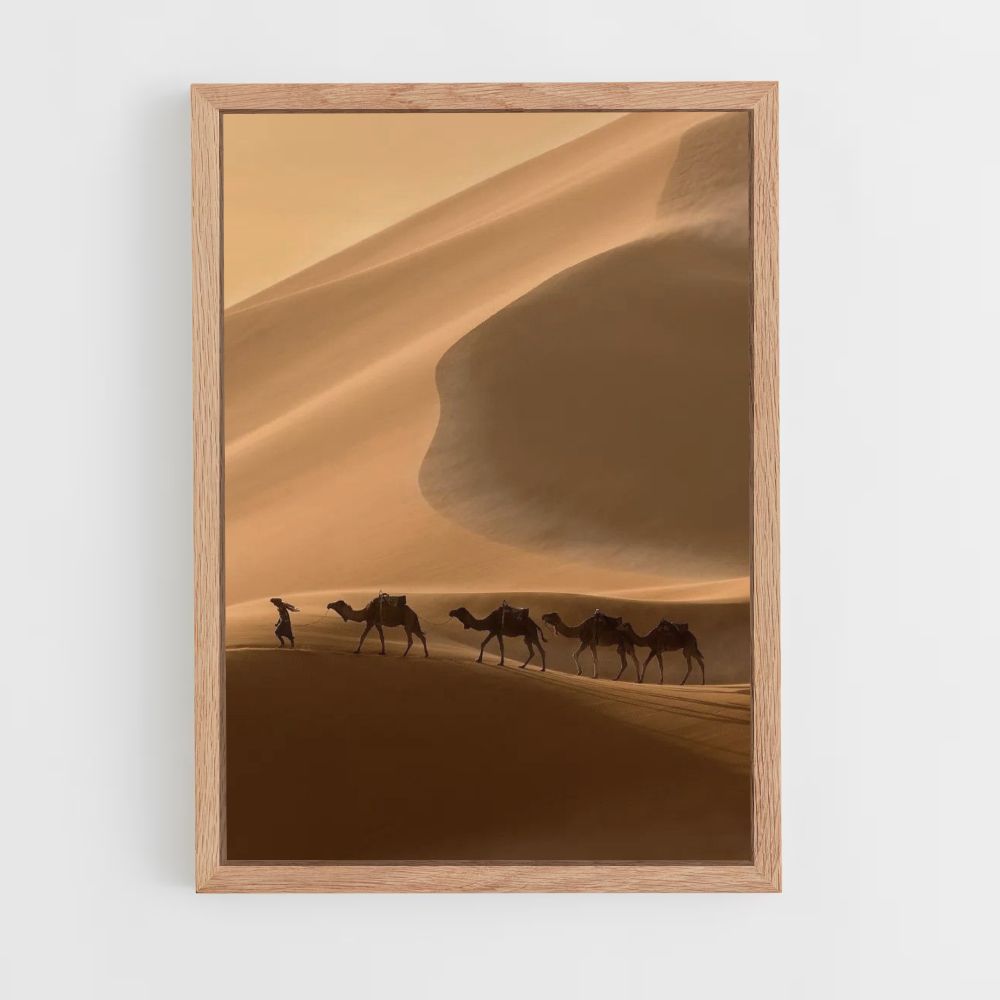 Poster Cammelli del deserto