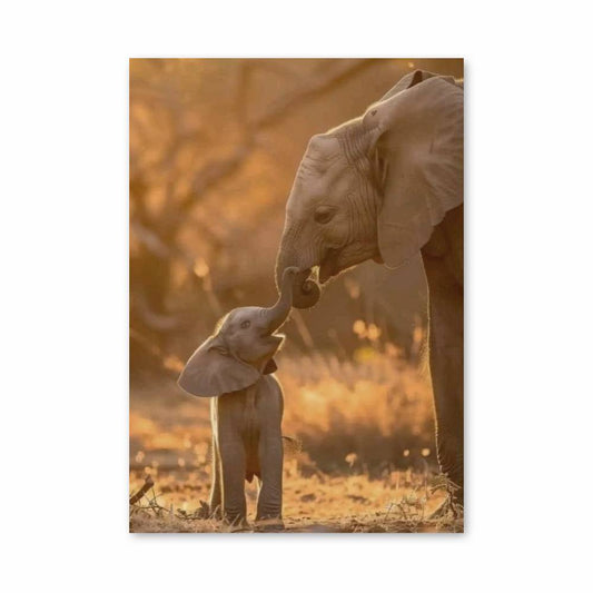 Poster Éléphant Mignon