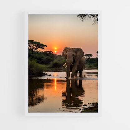 elephant-3 cadre Blanc