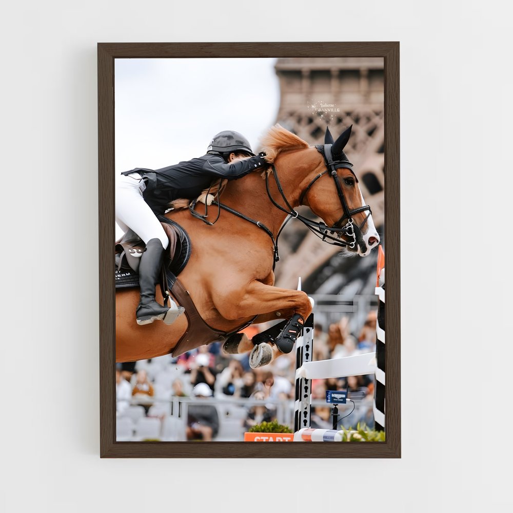 equitation-10 cadre Bois foncé