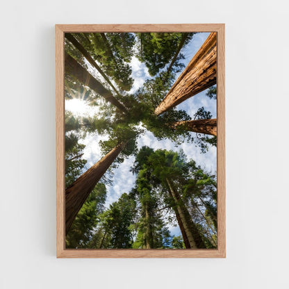 forest-1 cadre Bois clair