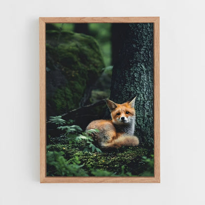 fox-1 cadre Bois clair