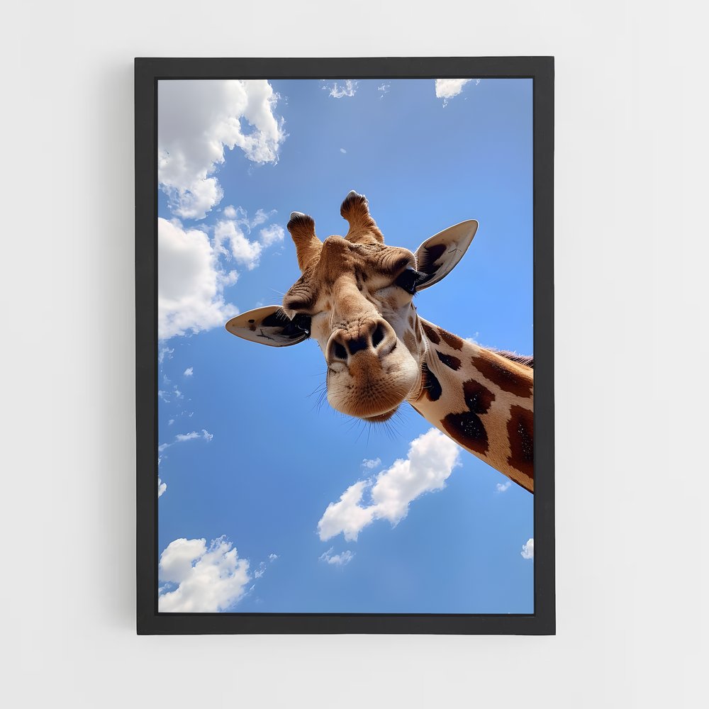 giraffe-5 cadre Noir