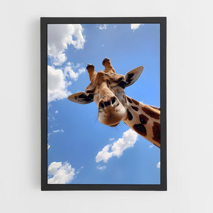 giraffe-5 cadre Noir