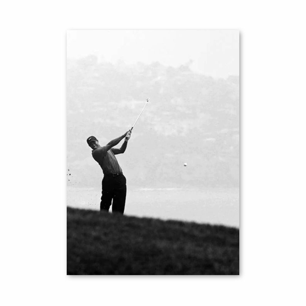 Poster della sparatoria di Tiger Woods