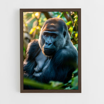 gorilla-2 cadre Bois foncé