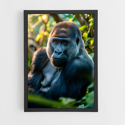 gorilla-2 cadre Noir