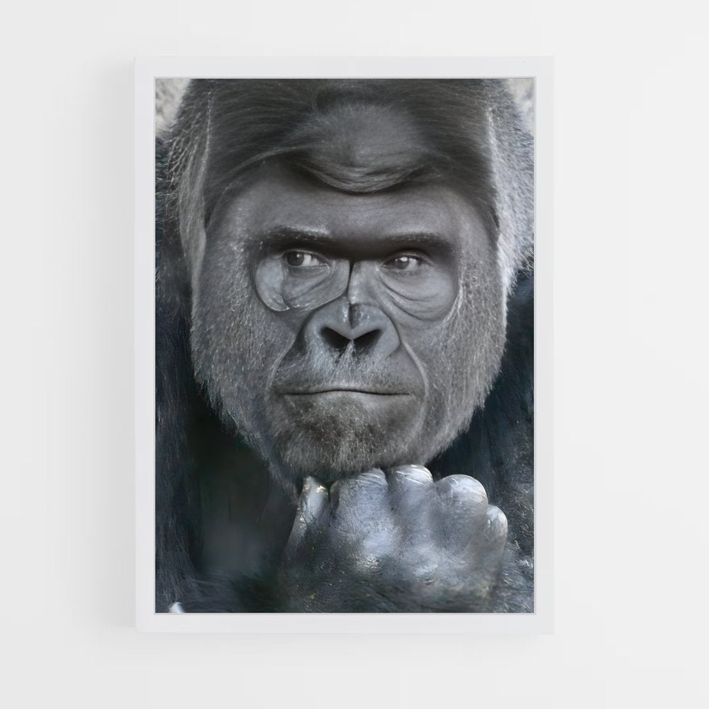 gorilla-5 cadre Blanc