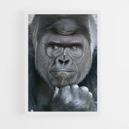 gorilla-5 cadre Blanc