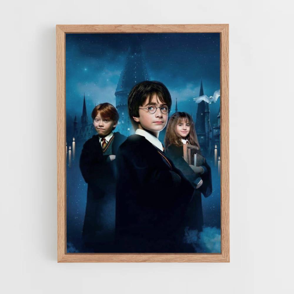 Manifesto Harry Ron Hermione