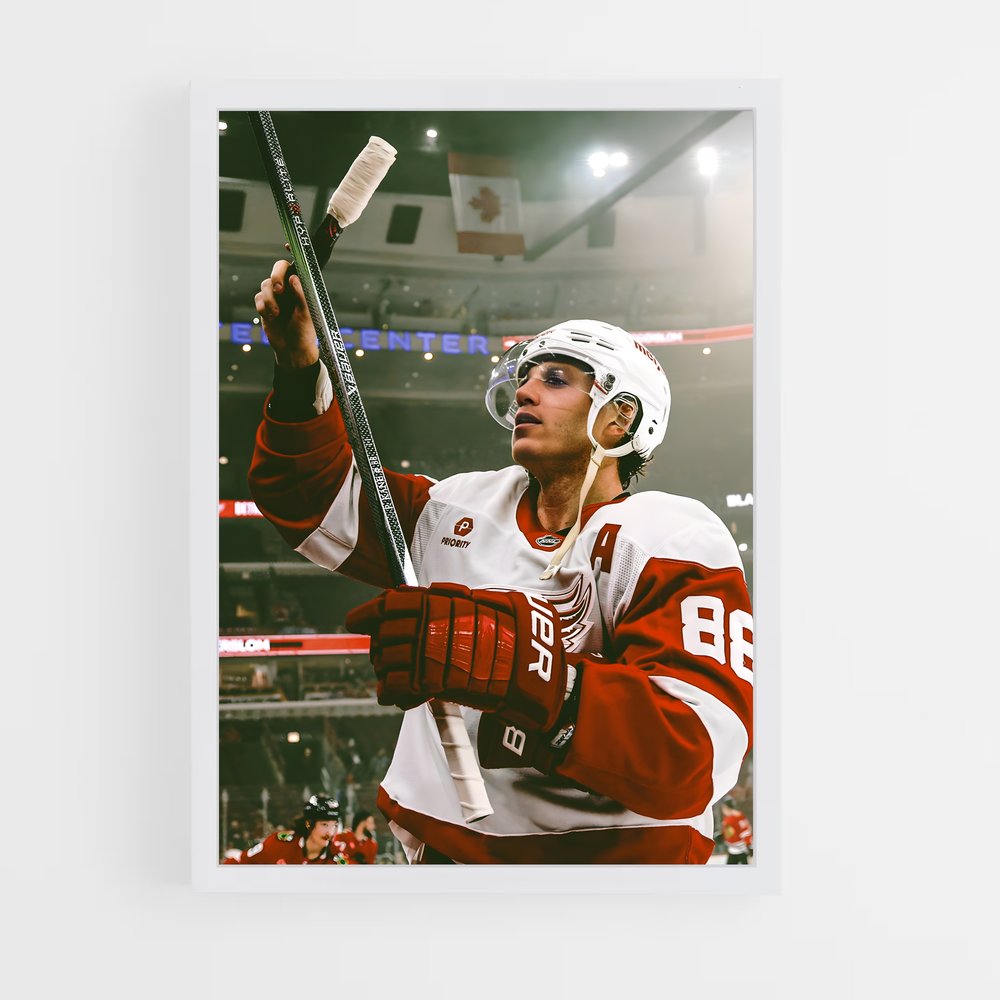 hockey-36 cadre Blanc