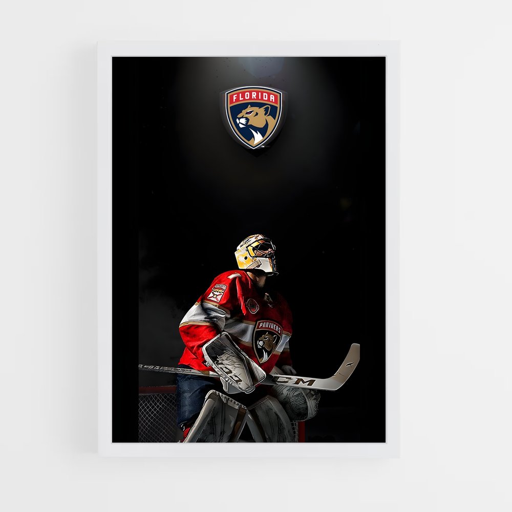 hockey-9 cadre Blanc