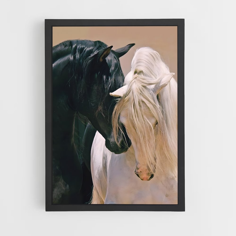 horse-4 cadre Noir