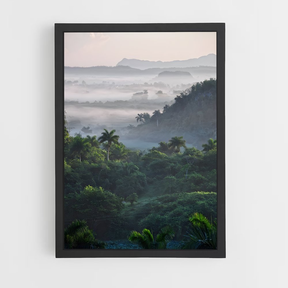 jungle-3 cadre Noir