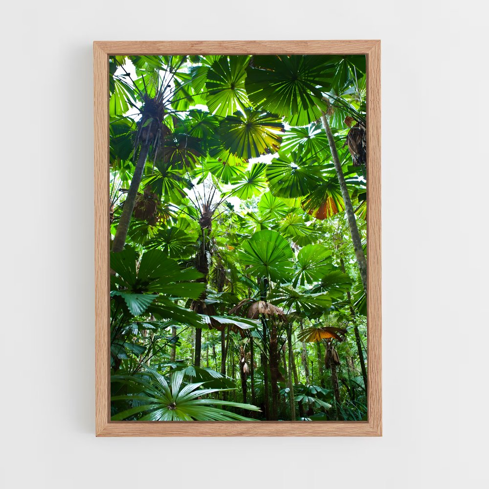 jungle-6 cadre Bois clair