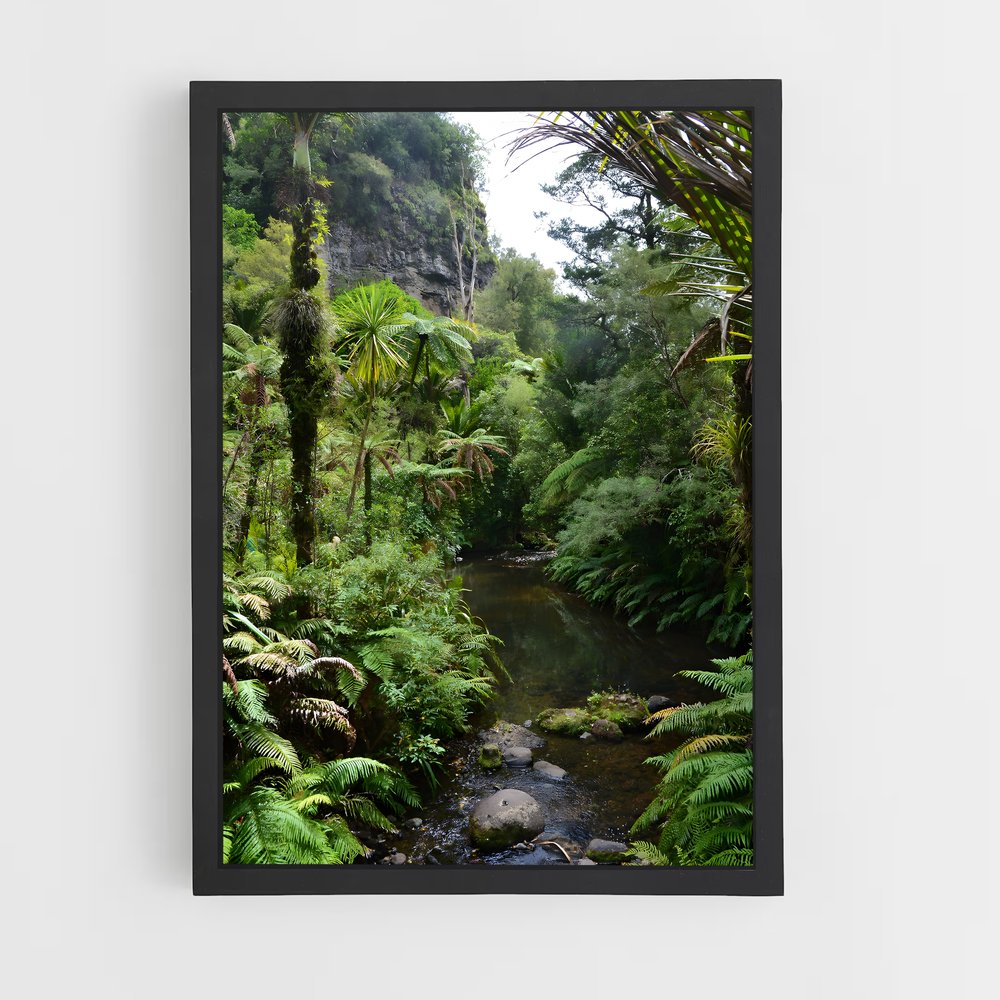 jungle-7 cadre Noir