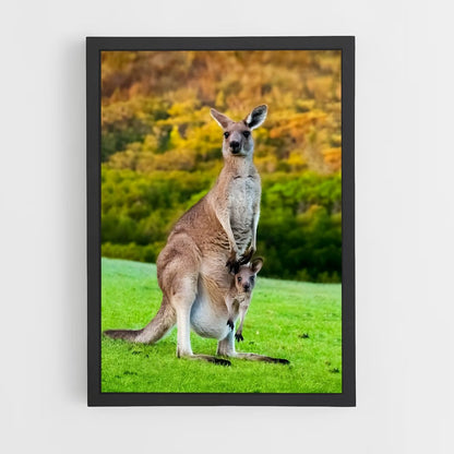 kangaroo-1 cadre Noir