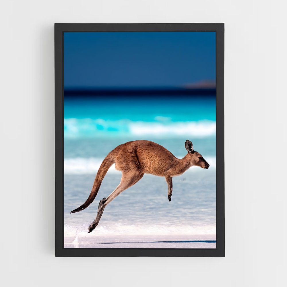 kangaroo-13 cadre Noir