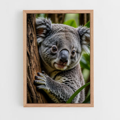 koala-8 cadre Bois clair