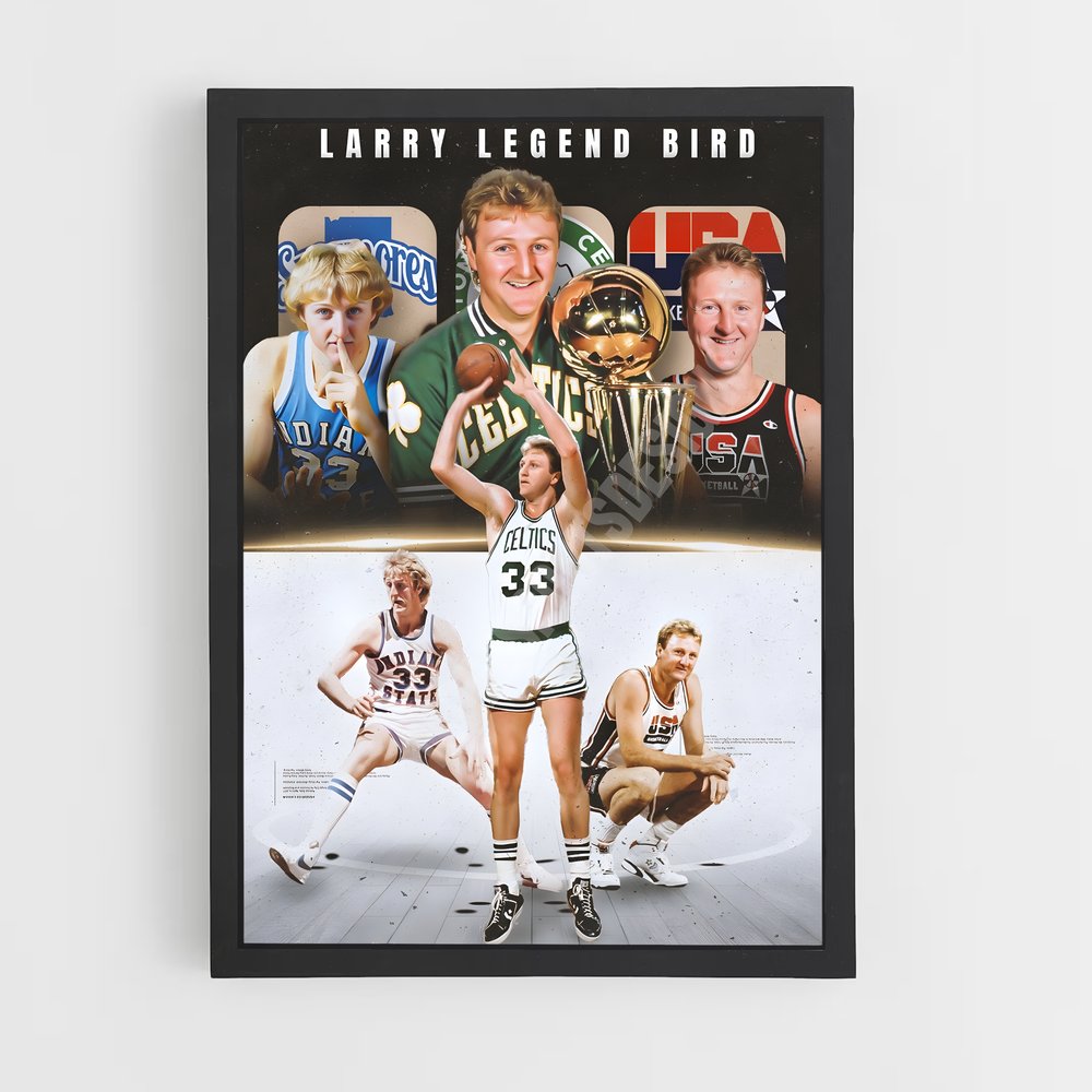 larry-brid-5 cadre Noir